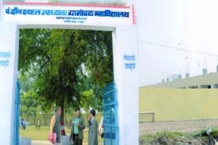 Pt Deen Dayal Upadhyay Gramodaya PG College, Gonda campus photo 3