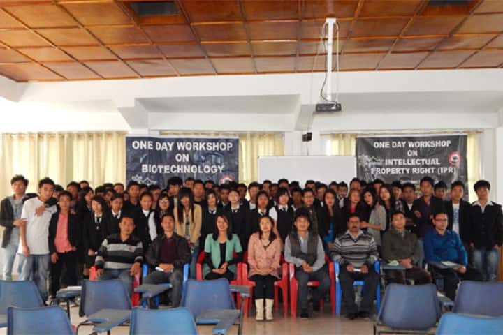 Modern College, Kohima campus photo 4