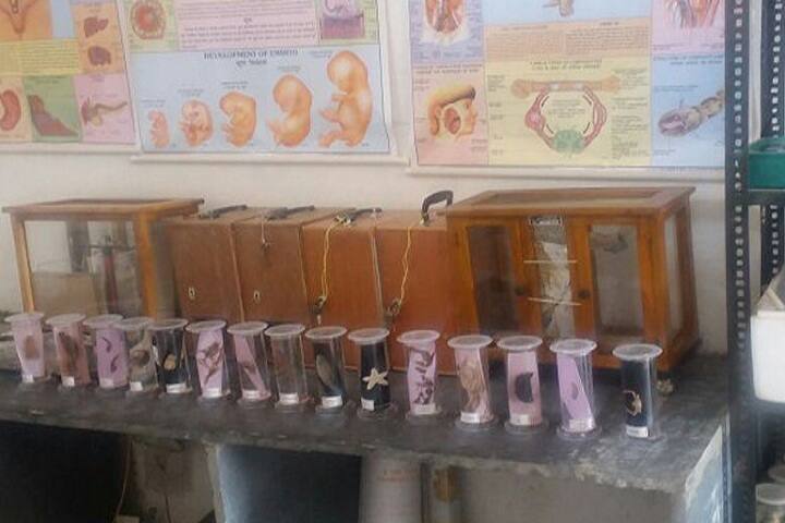 Mahakoshal College of Science and Arts, Damoh campus photo 4