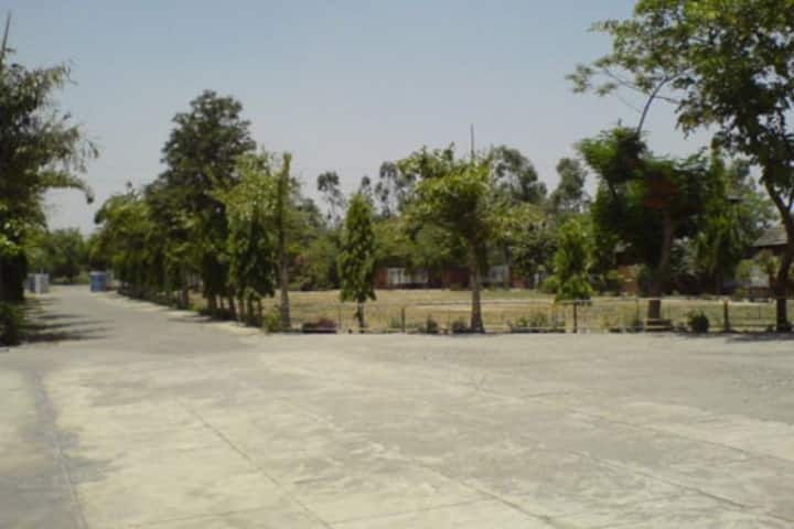 Sri Satya Sai College of Education, Kurukshetra campus photo 3