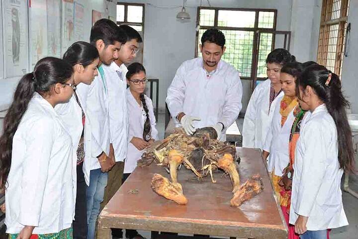 Shree Lakshmi Narayan Ayurvedic College, Amritsar campus photo 6