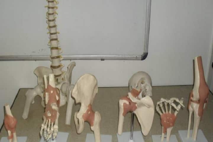 KM Patel Institute of Physiotherapy, Anand campus photo 5