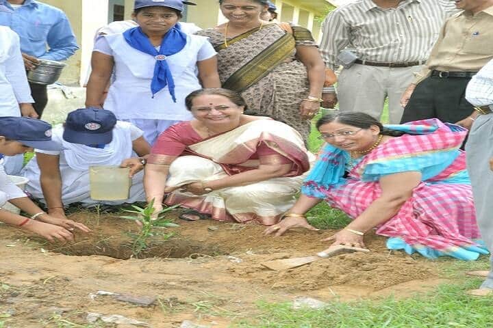 MAJ Government College, Deeg campus photo 4