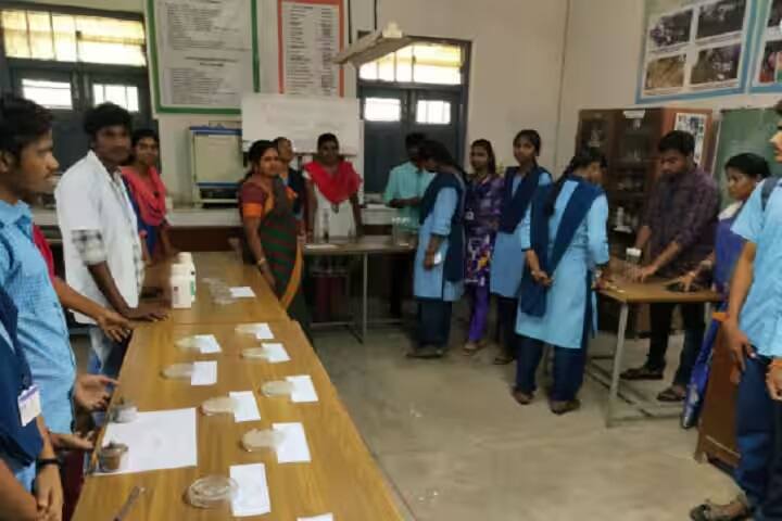 PVKN Government College, Chittor campus photo 6