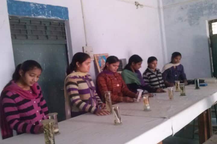 Jain College, Bhind campus photo 4