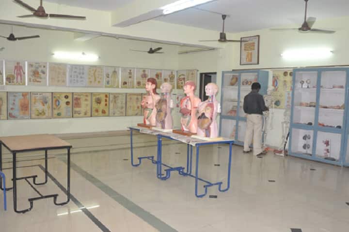 Sai College of Physiotherapy and Rehabilitation, Rajahmundry campus photo 6