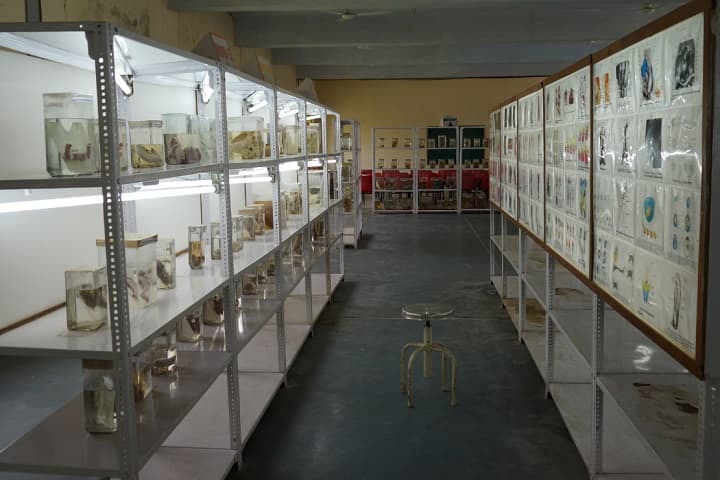 Ujjain Institute of Paramedical Sciences and Ujjain College of Physiotherapy, Ujjain campus photo 6