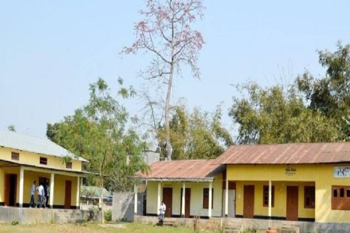 Mangaldai Commerce College, Mangaldai campus photo 2