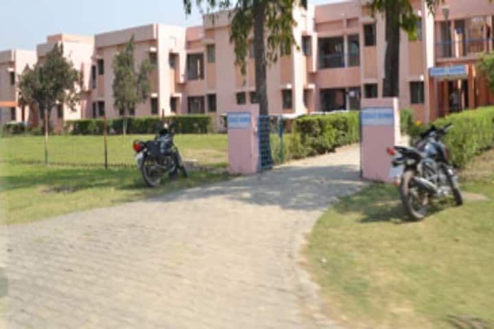 MMMUT Gorakhpur campus photo 4