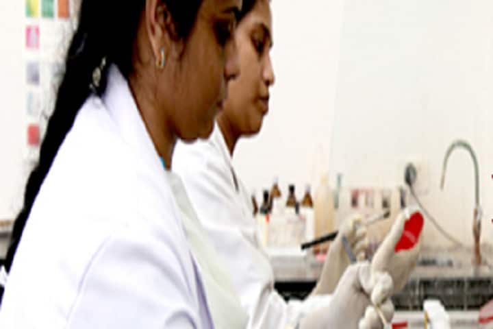 Government Naveen College, Berla campus photo 3