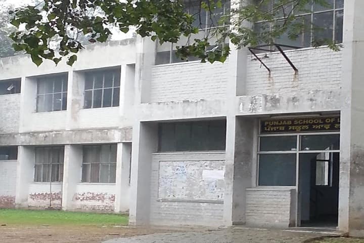 Punjab School of Law, Punjabi University, Patiala campus photo 2