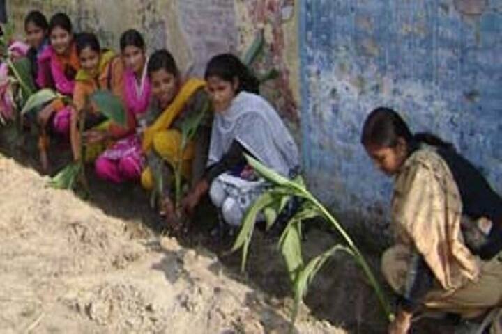 SG Degree College, Moradabad campus photo 4
