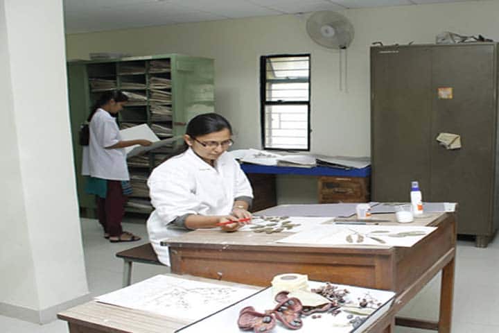 Regional Ayurveda Institute for Fundamental Research, Pune campus photo 3