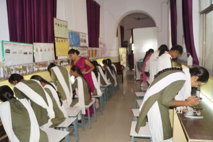Government TRS College, Rewa campus photo 6