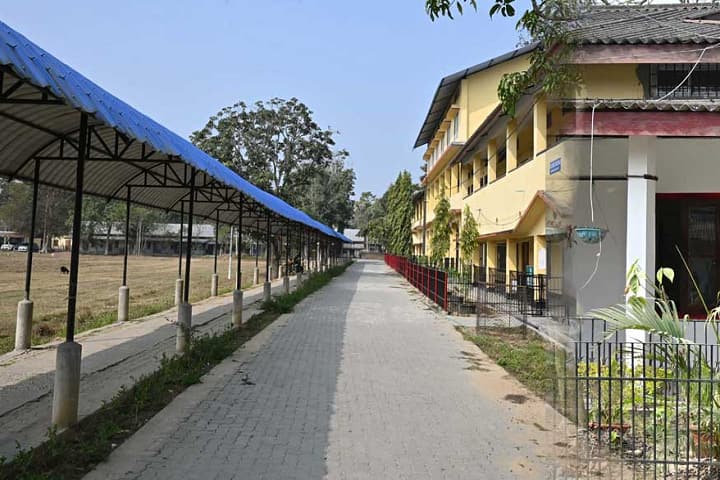 Nanda Nath Saikia College, Titabar campus photo 2