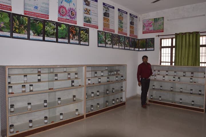Institute of Ayurveda Major SD Singh University, Farrukhabad campus photo 5