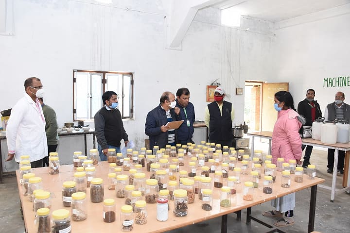 KVS Institute of Ayurvedic Medical Science and Research Centre, Ghazipur campus photo 4