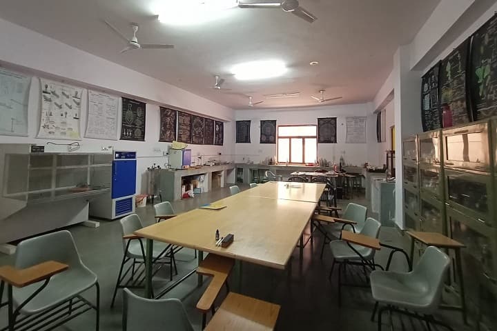 Sobhasaria College, Sikar campus photo 2