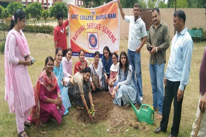 Government College, Raipur Rani campus photo 6