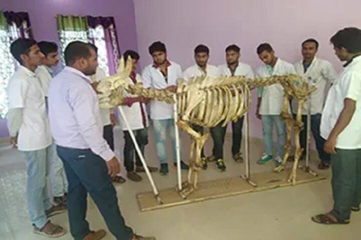 Ideal Veterinary College, Singhani campus photo 5