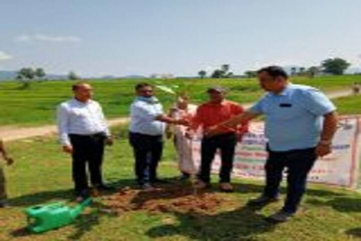 Model Degree College, Malkangiri campus photo 5