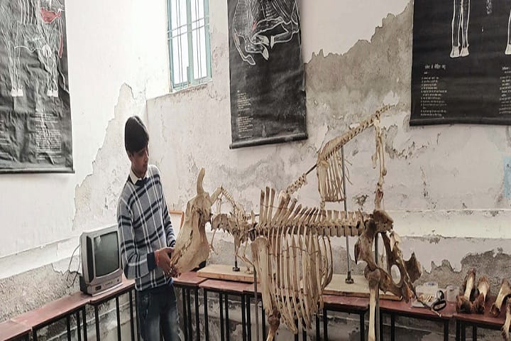 Choudhary College of Animal Husbandry, Sadulpur campus photo 3