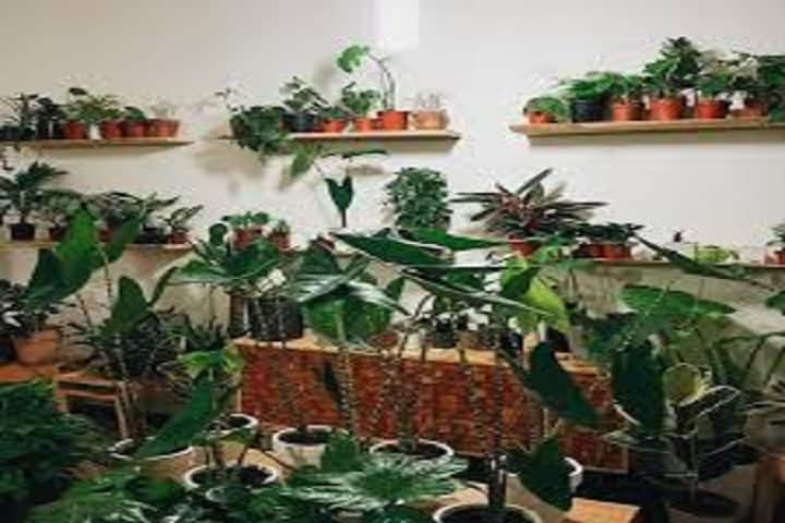 KR College, Ajmer campus photo 5