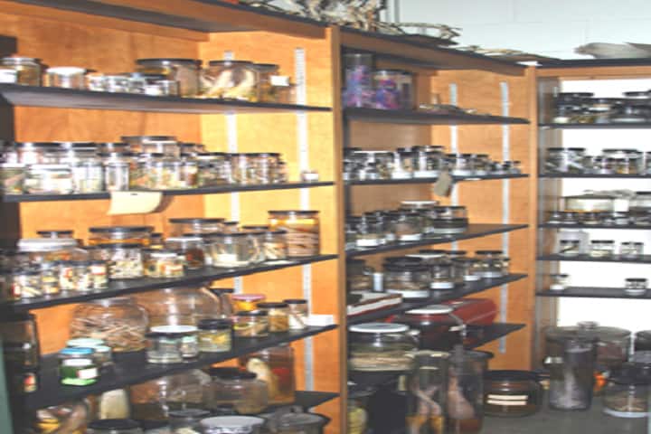 KR College, Ajmer campus photo 6