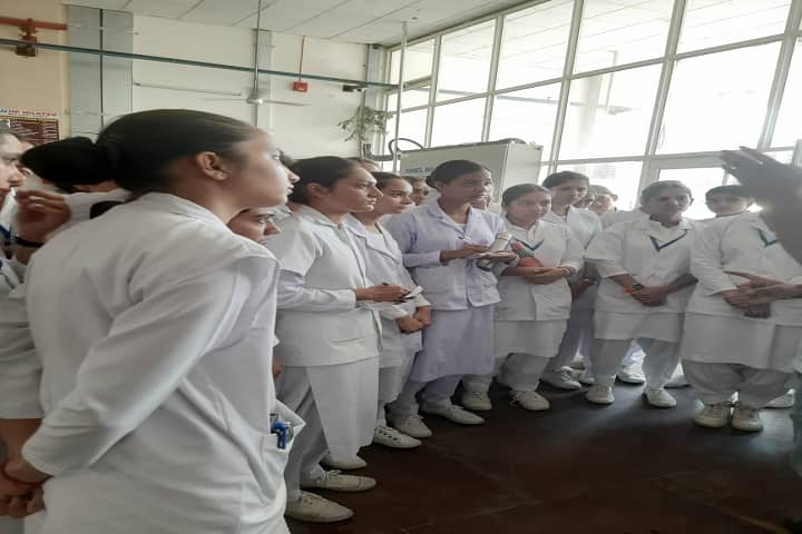 Naina College of Nursing, Mandi campus photo 3