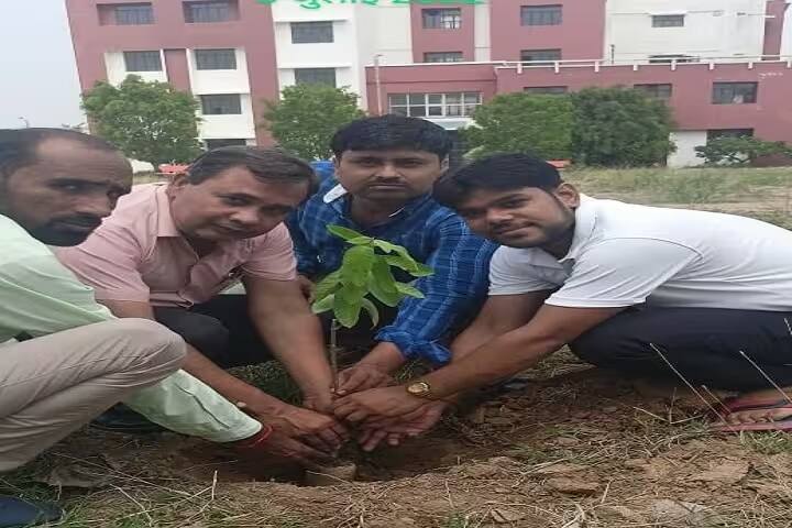 Government College, Piprahari Tindwari campus photo 5