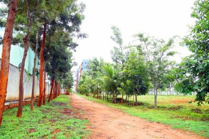 Varadaraja Institute of Allied Health and Paramedical Sciences, Tumkur campus photo 5