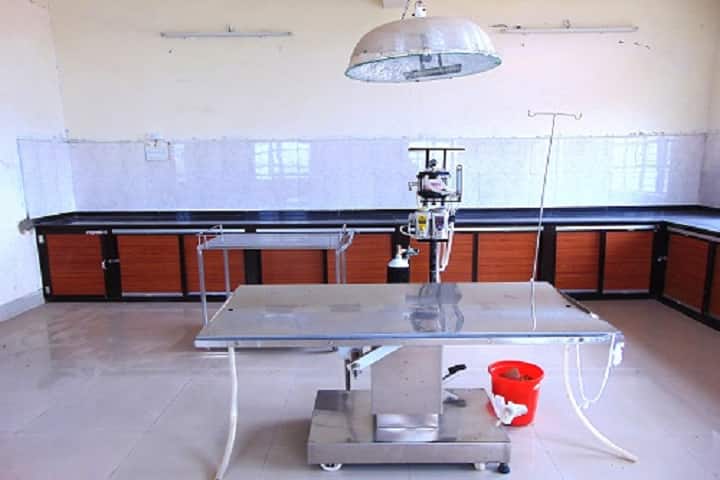 College of Veterinary Science and Animal Husbandry, Rewa campus photo 4