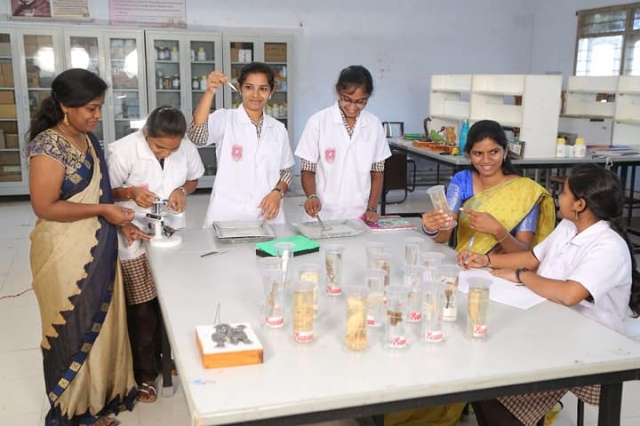 Telangana Social Welfare Residential Degree College for Women, Khammam campus photo 6