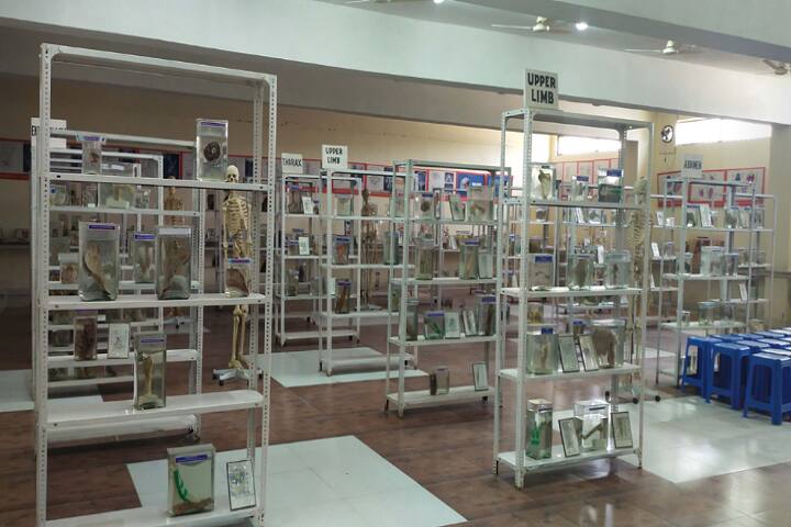 Amaltas Institute of Homoeopathy, Dewas campus photo 2