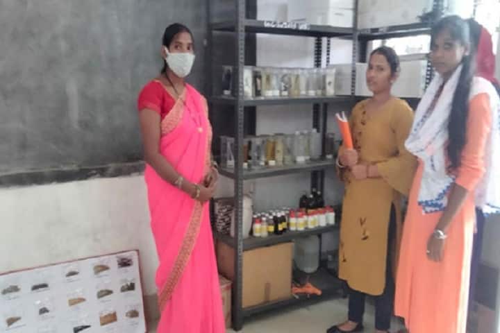 Government College, Batauli campus photo 6
