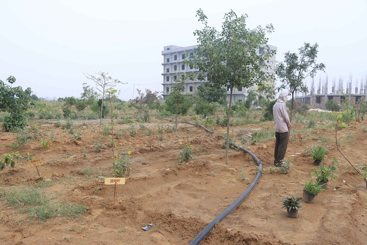 BDM College of Ayurveda Science and Hospital, Chhuchhakwas, Jhajjar campus photo 2