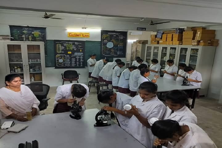 Telangana Social Welfare Residential Degree College for Women, Mancherial campus photo 2
