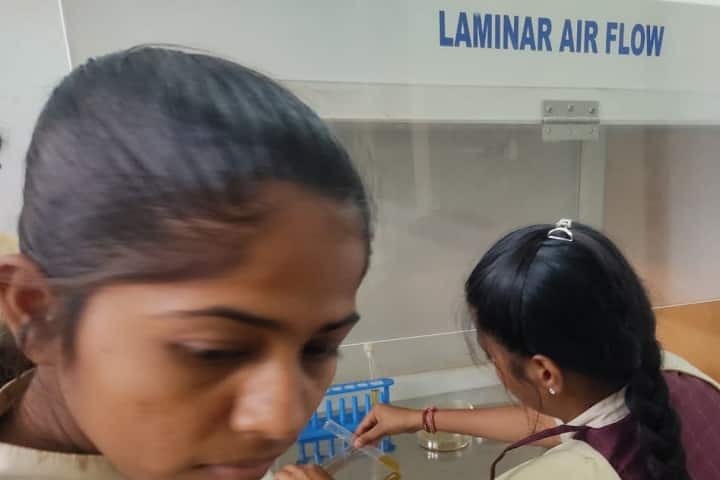 Telangana Social Welfare Residential Degree College for Women, Mancherial campus photo 6