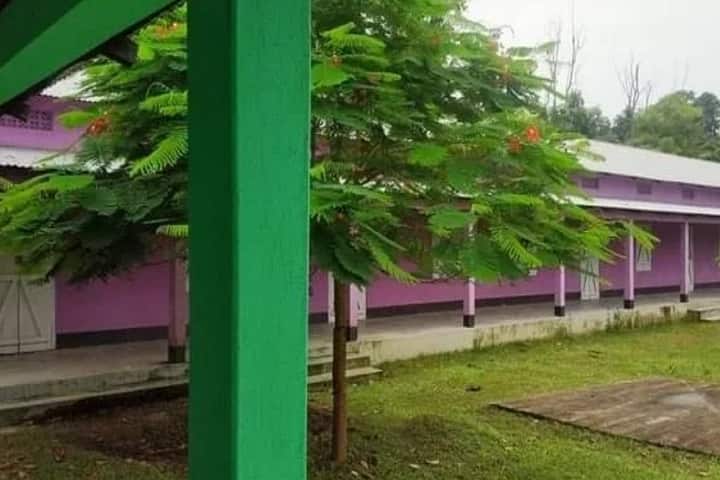 Mahamaya Degree College, Bagribari campus photo 2