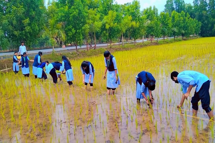 Kadiri Babu Rao College of Agriculture, Prakasam campus photo 2