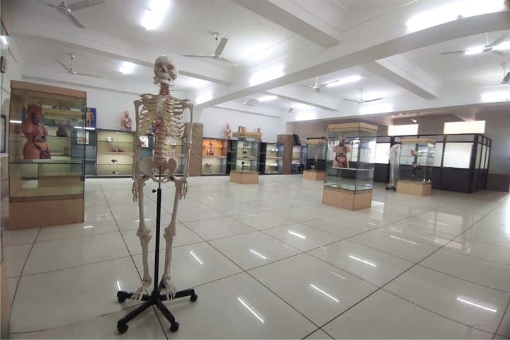 Poornayu Ayurved Chikitsalaya Evam Anusandhan Vidyapeeth, Jabalpur campus photo 5