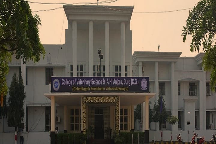 College of Veterinary Science and Animal Husbandry, Durg campus photo 2