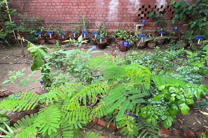 Dayalbagh Homoeopathic Medical College, Agra campus photo 2