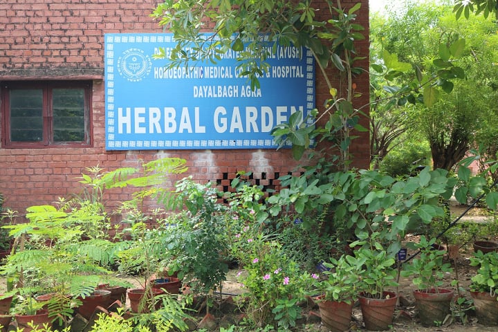 Dayalbagh Homoeopathic Medical College, Agra campus photo 3