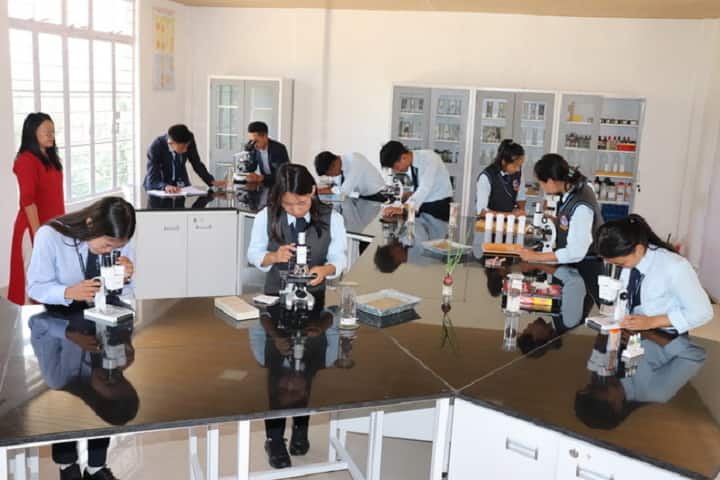 Asufii Christian Institute, Senapati campus photo 6