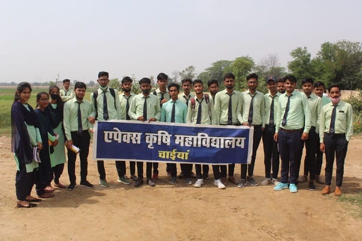 Apex Agriculture College, Chaiya campus photo 3