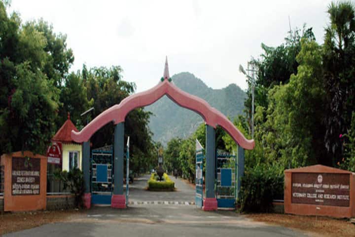 TANUVAS Chennai campus photo 4