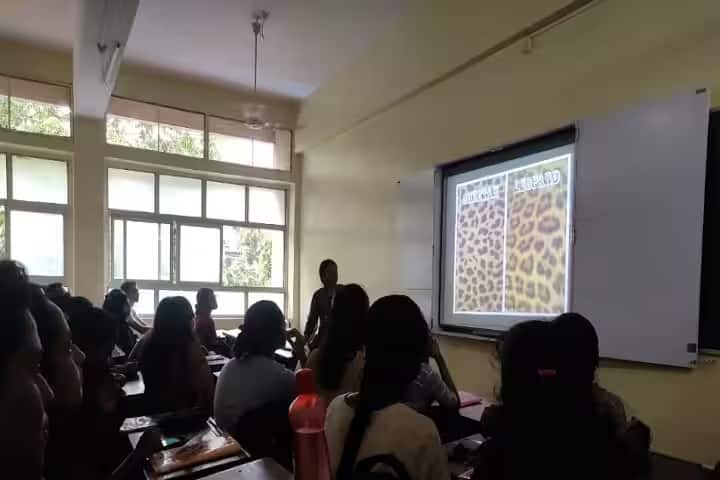 Maharshi Dayanand College of Arts Science and Commerce, Parel campus photo 3