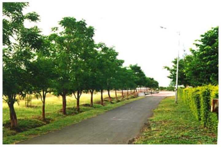 SGBAU Amravati campus photo 3