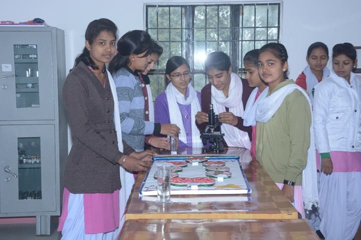 Indira Priyadarshini College for Women, Jhajjar campus photo 3